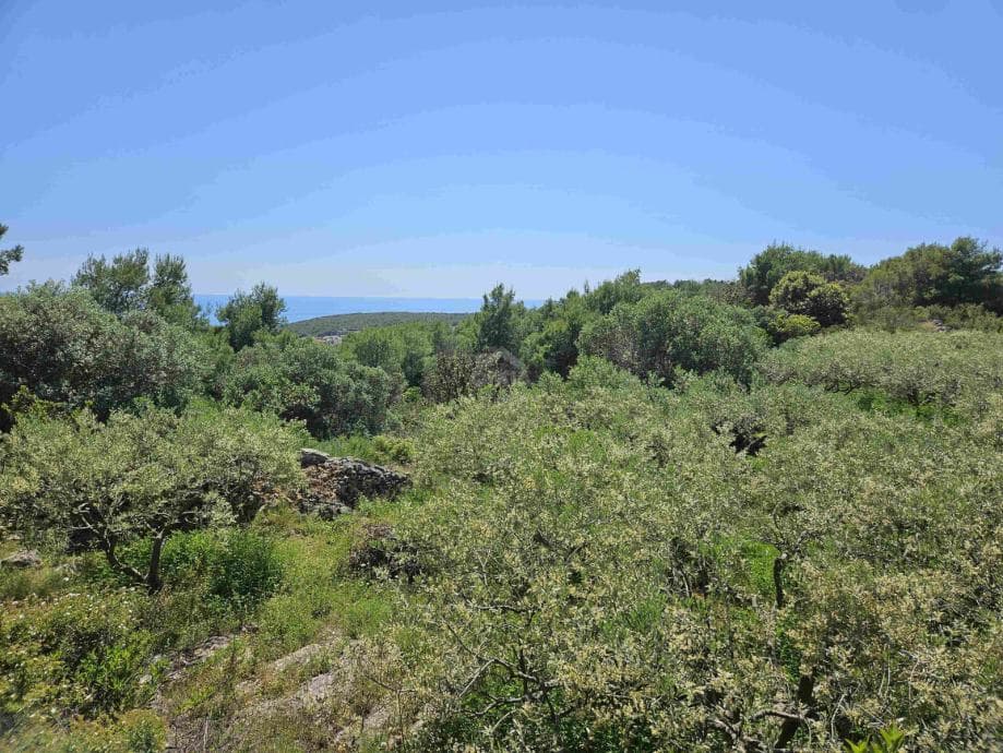Zemljište prodaja Vis 2489m2