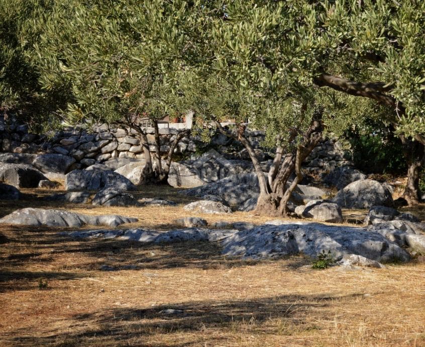 Zemljište prodaja Plano 3300m2