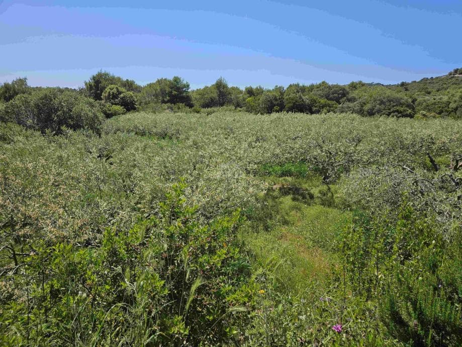 Zemljište prodaja Vis 2489m2