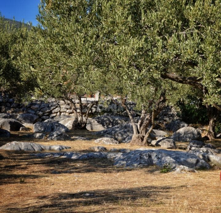 Trogir, Plano, građevinsko zemljište