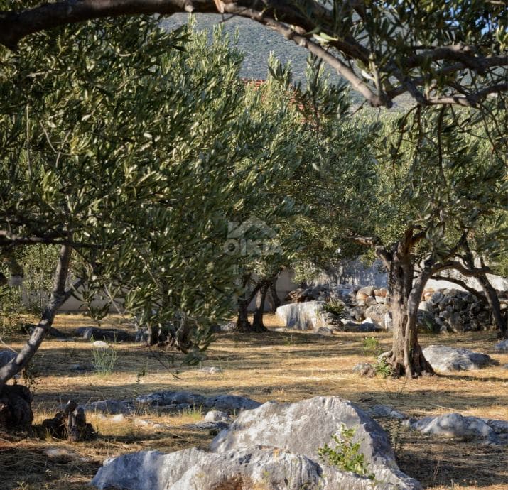 Zemljište prodaja Plano 3300m2