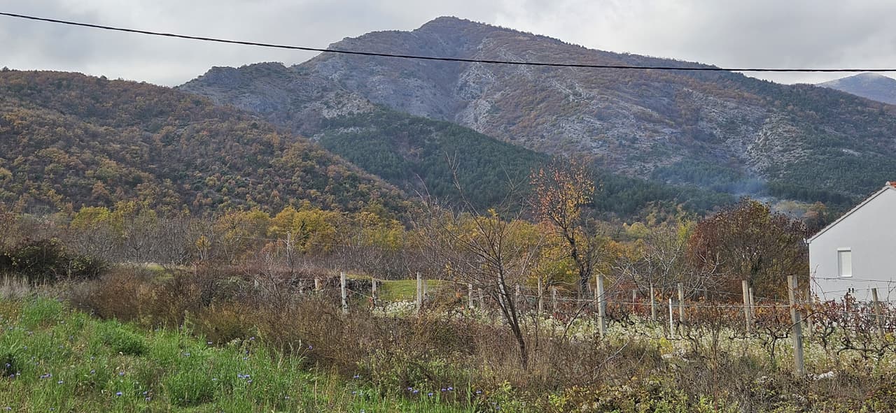 zemljište Potravlje pogodno za obiteljsku kući ili kao investicija