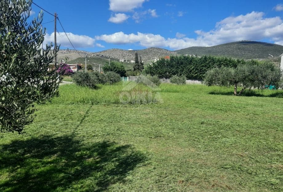 Trogir, Plano, građevinsko zemljište